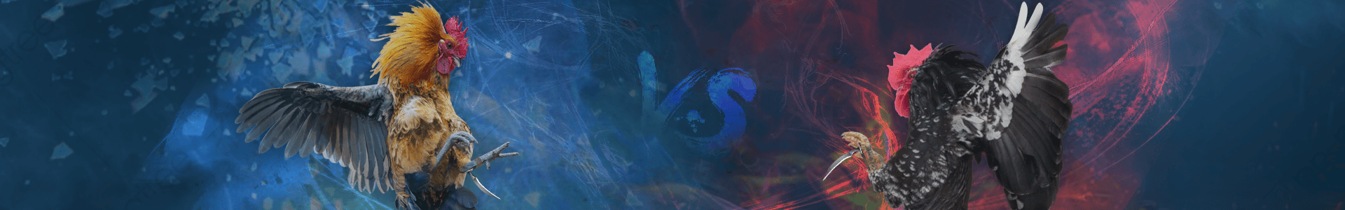 background img